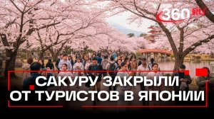 Фудзийский фестиваль отменили: новые правила для иностранных туристов в Японии