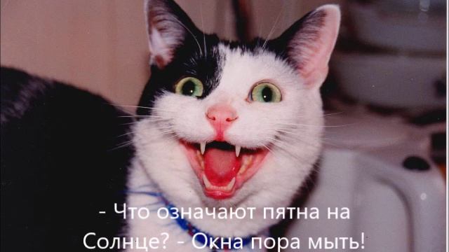 Анекдотцы — 15 🤣