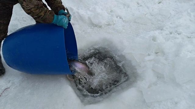 Запуск 06.02.26  88 кг. «Водопад»