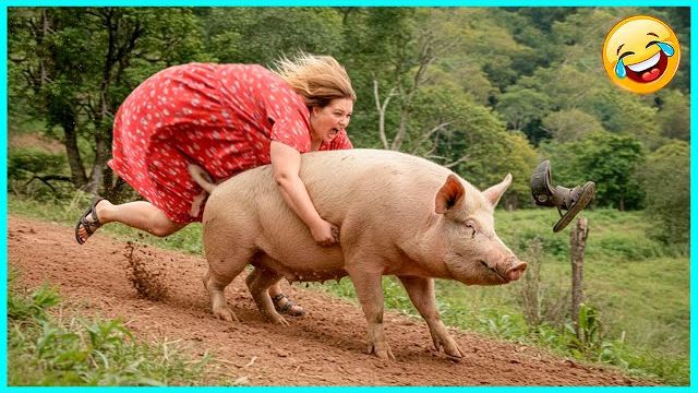 Моменты, когда всё пошло не так _ Лучшее за месяц смотреть онлайн