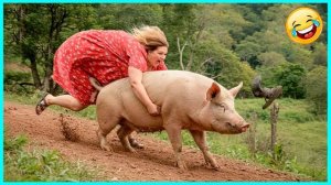 Моменты, когда всё пошло не так _ Лучшее за месяц