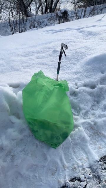 Говно 💩 на улице от собак #говно #собаки #животные #набережная #россия