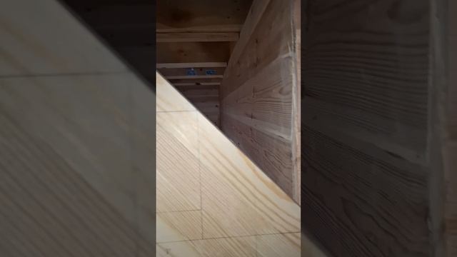 1000047878.mp4 (Собака наблюдает за устройством лестницы на 2 этаж в доме А-фрейм)