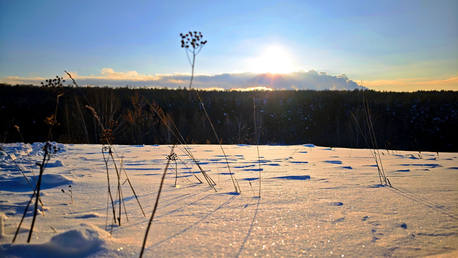 Февраль. На закате.