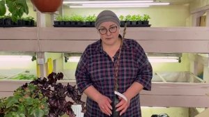 Посылка пришла рано?