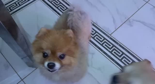 Морковочку сегодня не все захотели, не все зубки почистили.