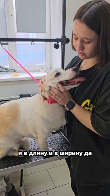 Страшная встреча с поездом и чудесная жизнь после спасения | Билли