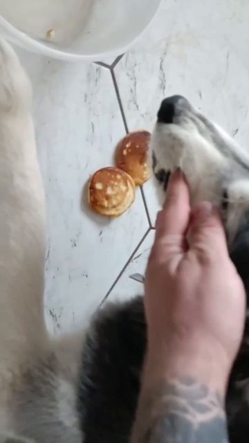 Ой, а что такое, аппетит вернулся?