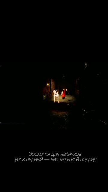 shorts  EscapeTheBackrooms TheBackrooms погладил урок собака  монстр песик милота