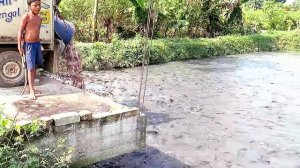 СОМЫ ПОСЛЕ ПРИЁМА КОРМА