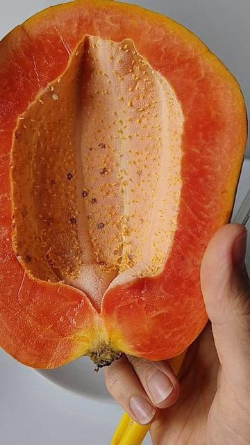 Папайя 😋 #папайя #фруктымира #папайя #фрукторианство #фрукты #плоды #сыроедение #веган #веганство Папайя 😋 #папайя #фруктымира #папайя #фрукторианство #фрукты #плоды #сыроедение #веган #веганство