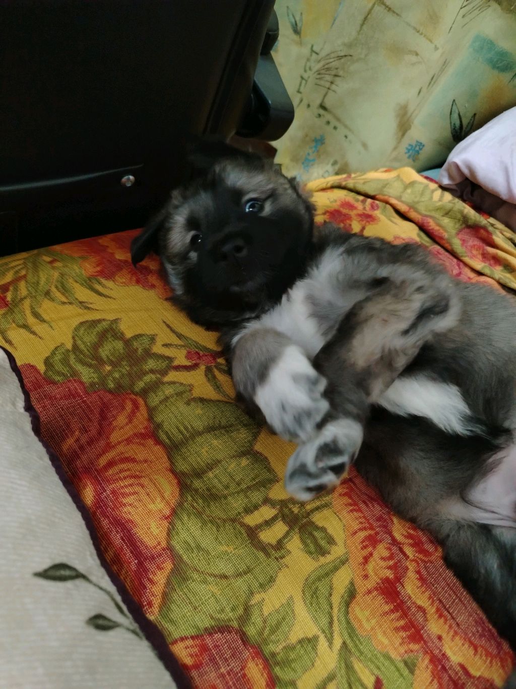 небольшие изменения. Разговорное видео смотреть онлайн