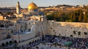 В сад Гефсиманский наш Господь входил в последний раз🙏🕊