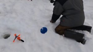 07.02.26 г. РК Волна