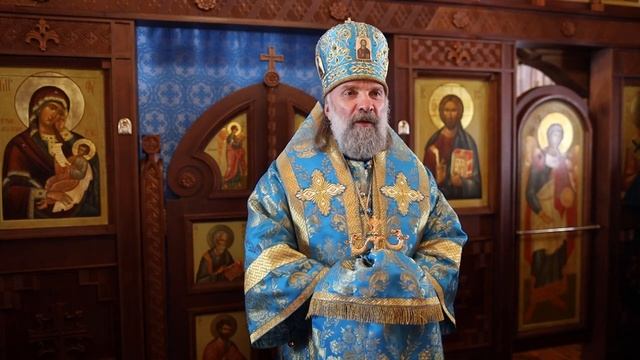 Проповедь епископа Питирима (Творогова) в день памяти иконы Божией Матери _Утоли моя печали_ смотреть онлайн