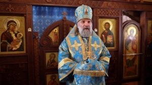 Проповедь епископа Питирима (Творогова) в день памяти иконы Божией Матери _Утоли моя печали_