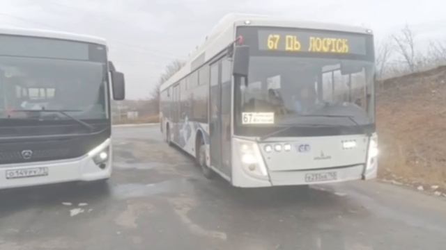 автобус 34