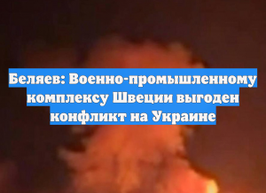 Беляев: Военно-промышленному комплексу Швеции выгоден конфликт на Украине