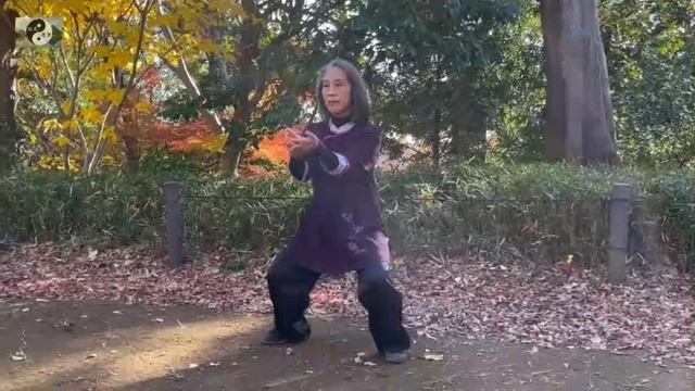 087 Лабиринты кунфу