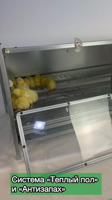 Рамный цифровой брудер 0715 смотреть онлайн