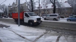 Газон Некст