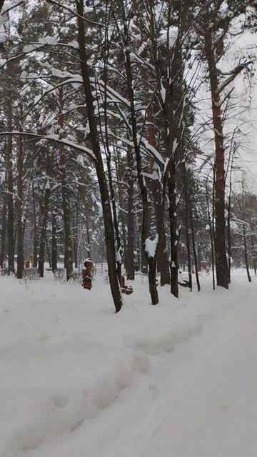 PXL_20260207_144825517