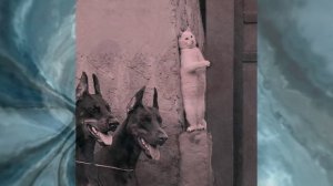 Are you afraid of the end