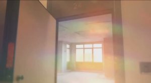 Квартира с эффектным эркером / BAKUNINA 33