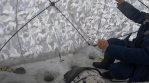 Рыбалка на мирную рыбу в палатке куб,сезон 2026