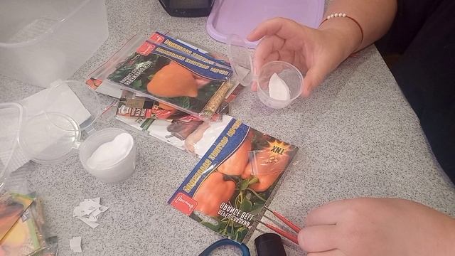 Подготавливаю к посеву сладкие перцы.mp4 смотреть онлайн