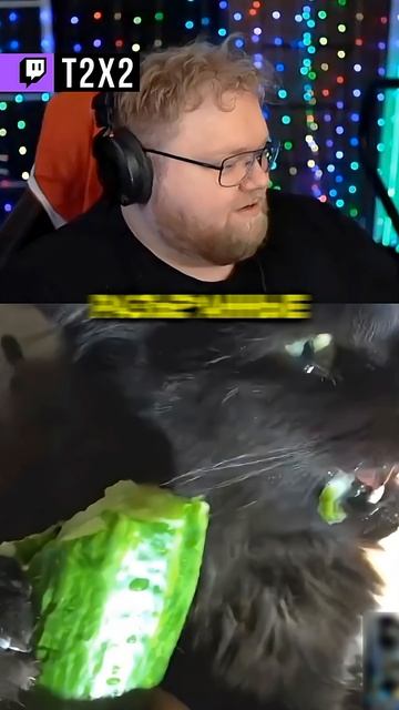 ПИТОМЦЫ СЪЕЛИ ИКРУ 😇 - #t2x2 #т2х2 #twitch #реакция #юмор #мем #shorts смотреть онлайн
