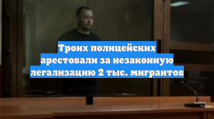 Троих полицейских арестовали за незаконную легализацию 2 тыс. мигрантов