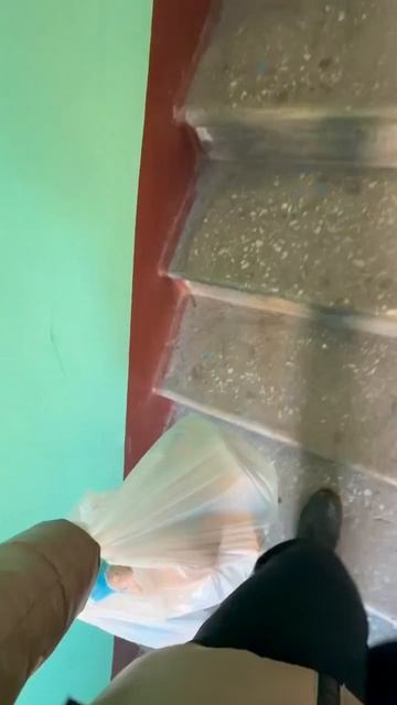 СПБ Доставка. Сегодня обошлась одним заказом. курьер доставка еда обзор работа спб шортс