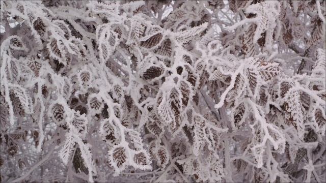 7 Февраля — День желаний.  Как загадать и получить.