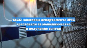 ТАСС: замглавы департамента МЧС арестовали за мошенничество и получение взятки