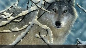 Баллада о Серафиме.mp4