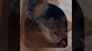 1000048038.mp4 (Собака наблюдает за устройством лестницы на 2 этаж в доме А-фрейм)