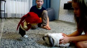 Гномы тоже падают в обморок