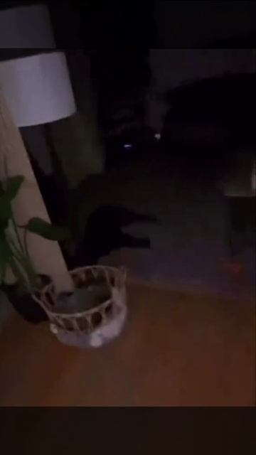 Я пришёл сюда покушац и поигратб на пианина. Как видешь на пианина я уже поиграв😏