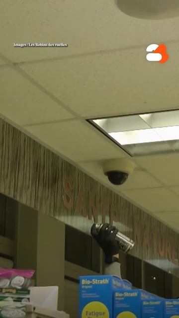 ������� ������� ��������: ��������� � �������� ����� ����� ���������������� ��� � �������������