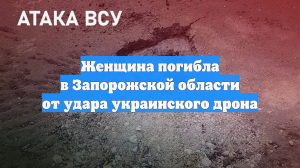 Женщина погибла при ударе беспилотника по дому в Запорожской области