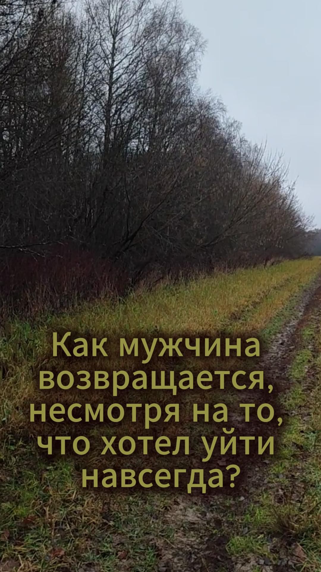 Как мужчина возвращается, несмотря на то, что хотел уйти навсегда? #психология #отношения #зима