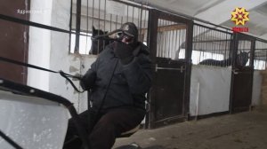 Столетний юбилей Чувашского конного завода ознаменуется Большим кубком Главы Чувашии