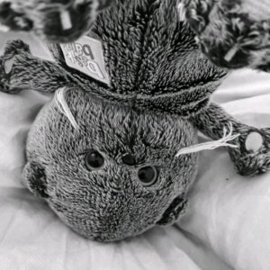 Сёма и Басик отро с котиками🤘😚🍧🐱