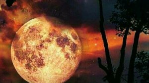 Рекомендации по солнечным и лунным дням на 8 9 10 февраля 2026г