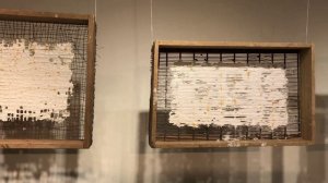 Инсталляция OPTIMA и тексты для шредера