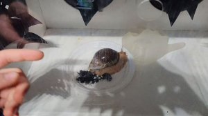 Отгадай, что за вещь на ощупь