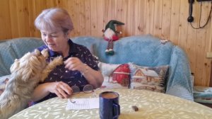 БЫЛО МНОГО ВОПРОСОВ ПОД ВИДЕО ПРО ТО ,ГДЕ Я РАБОТАЛА. ОТВЕЧАЮ.