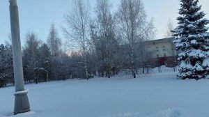 Зимнее утро в парке Москвы.С добрым утром!!!🥰