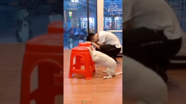 YouCut_20260207_060419328.mp4